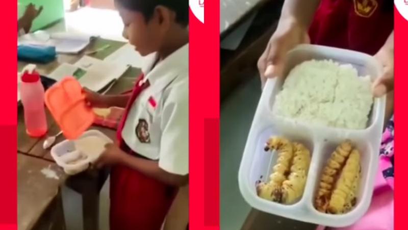 Viral di Medsos Anak SD Bawa Bekal Ulat Sagu ke Sekolah, Ternyata Kaya Gizi